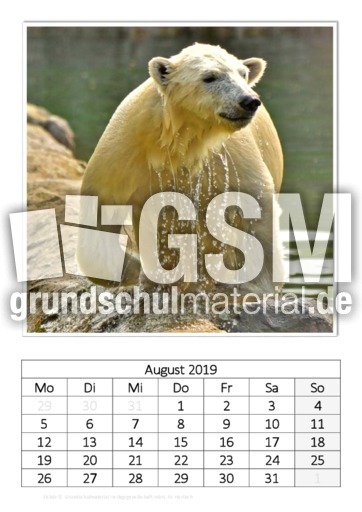 August_Eisbär_1.pdf